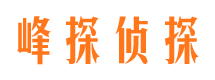 黄石找人公司